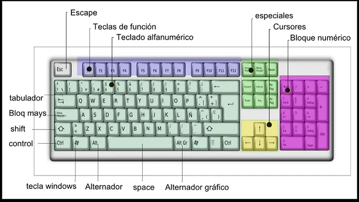 Partes del Teclado