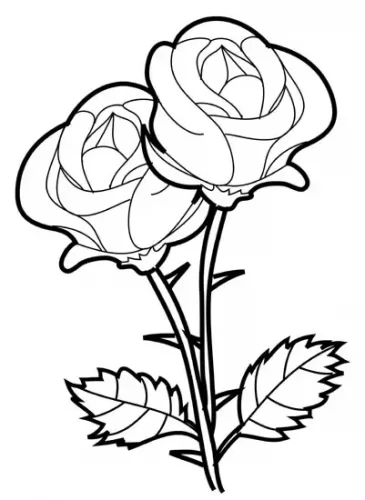 Rosas para Dibujar