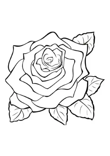 Dibujos de Rosas