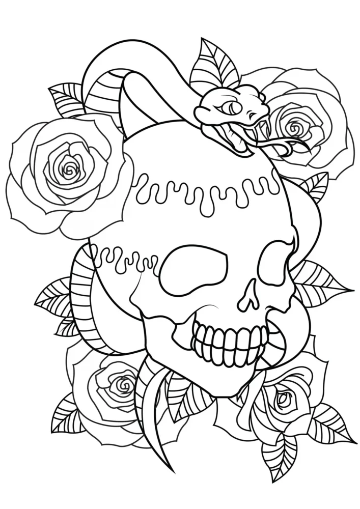 Calavera Dibujo