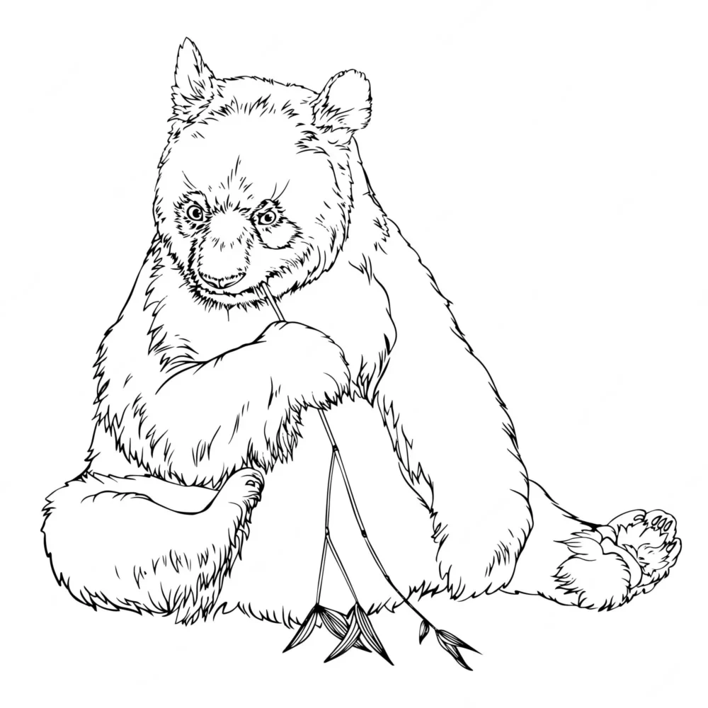 Dibujos de Animales