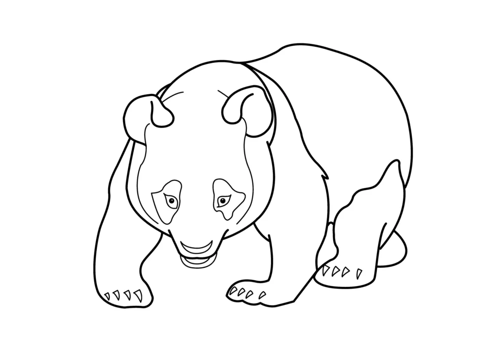 Dibujos