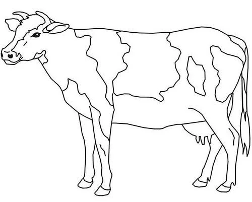 Dibujos de Vacas