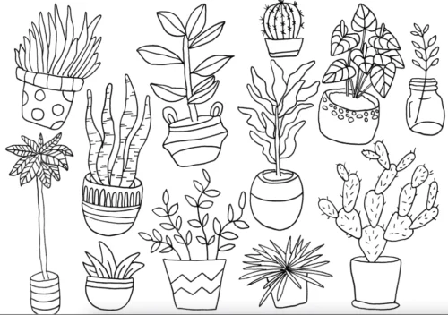 Dibujos de Plantas