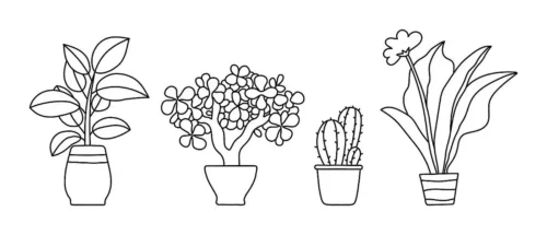 Dibujos de Plantas para Colorear: Imágenes de Plantas para Niños