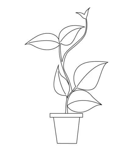Dibuja Plantas
