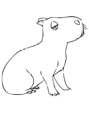 Dibujo de Capibara