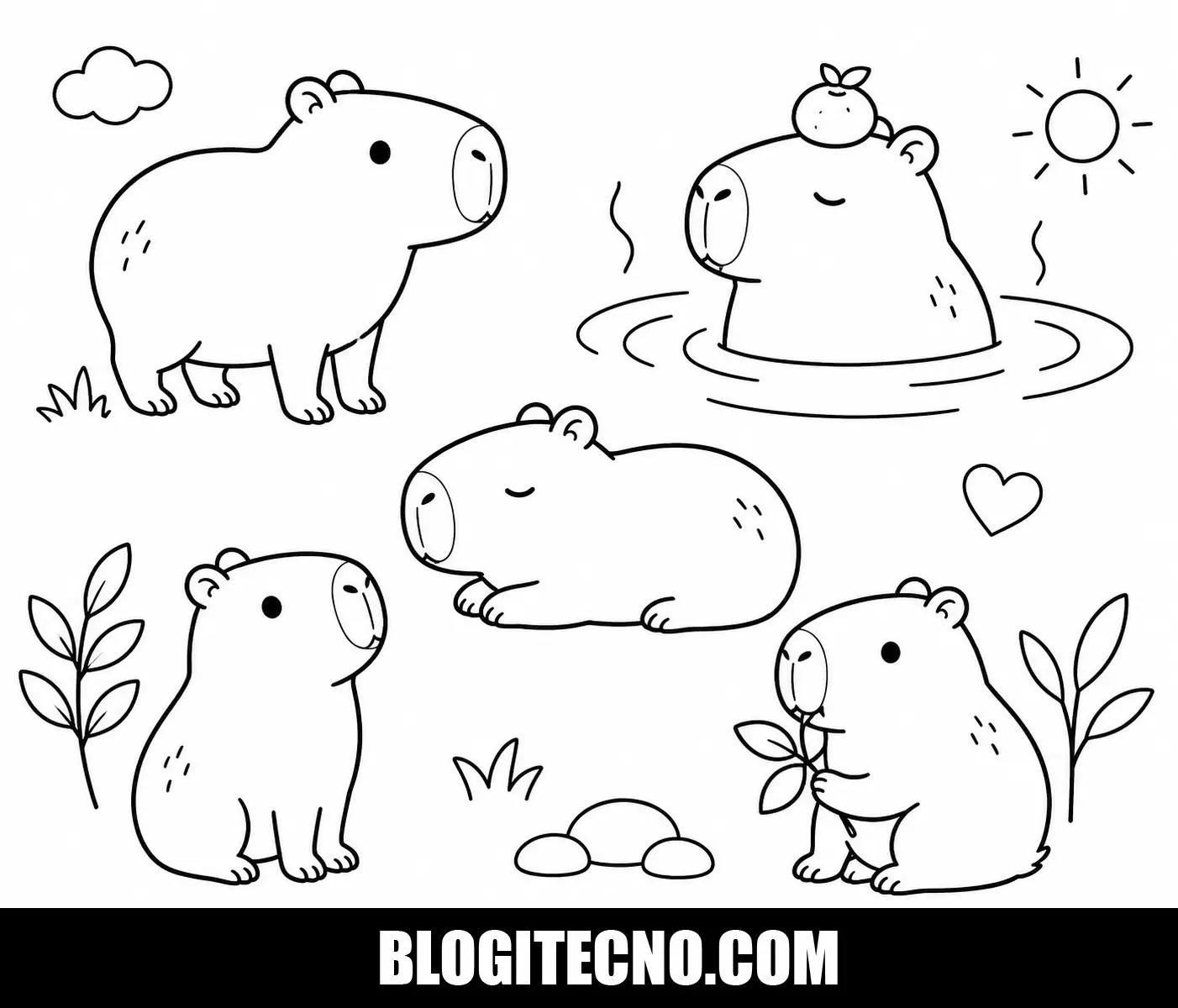 Animal Capibara