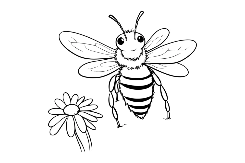 Abeja Dibujo